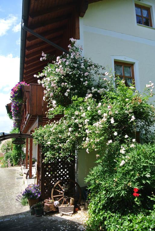 Haus Am Waldrand - Ferienwohnung Augustin 그라페나우 외부 사진
